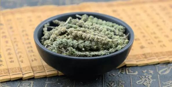 「百草园」芳香之息不减神奇药效——裂叶荆芥(八十四)