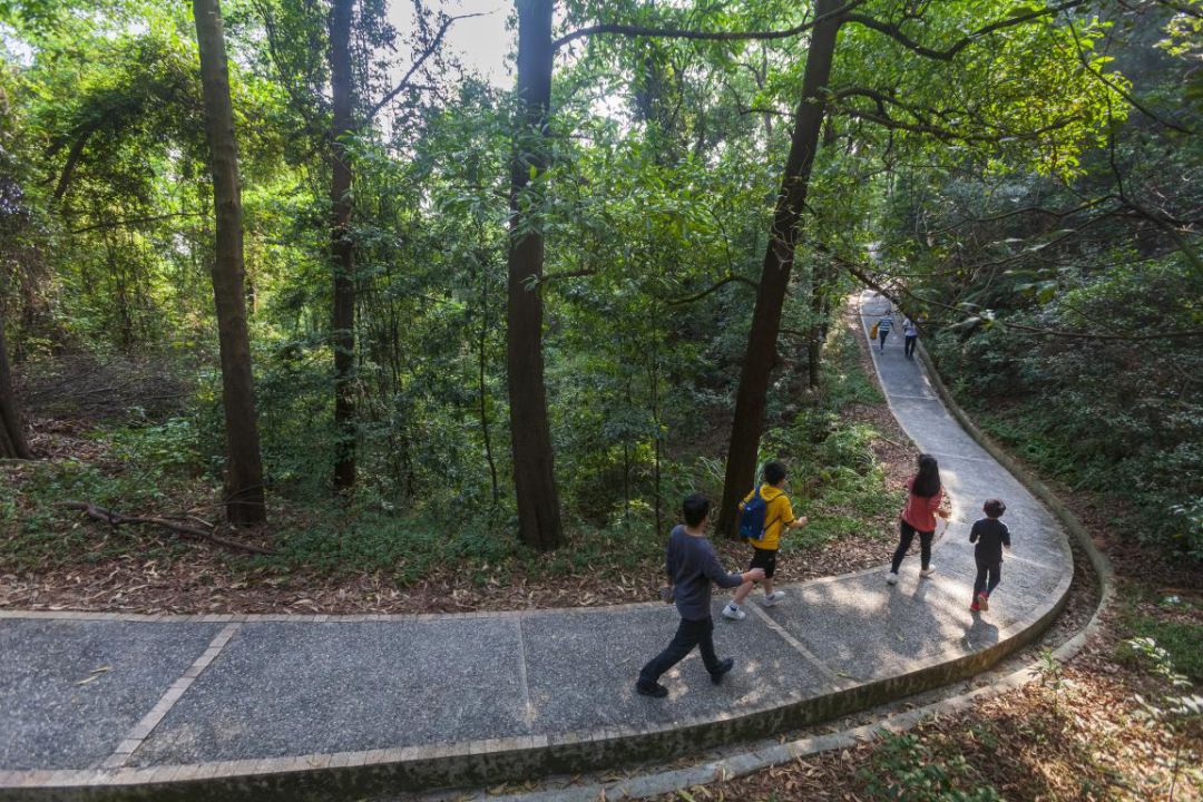 广州十大跑步圣地,告别肥宅展示你的锻炼成果