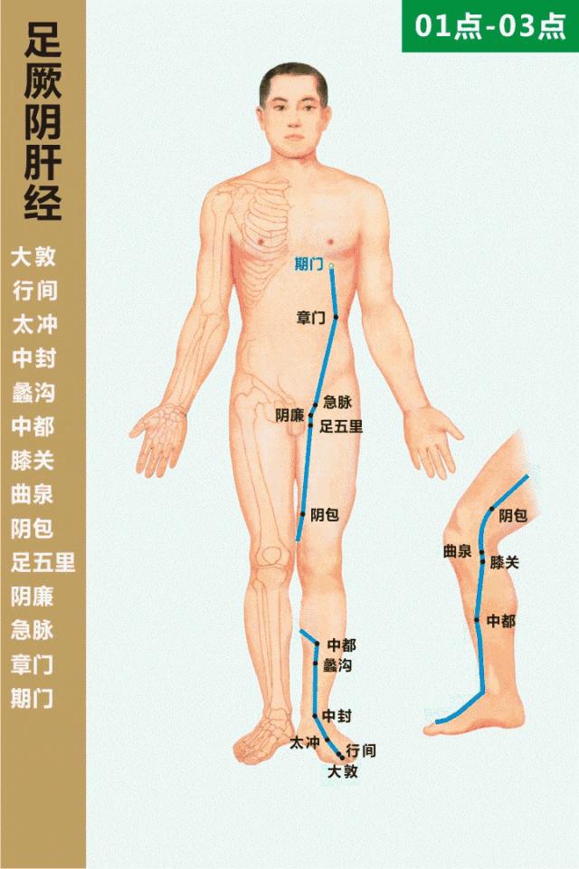 经络最全动图,经络高清穴位大图