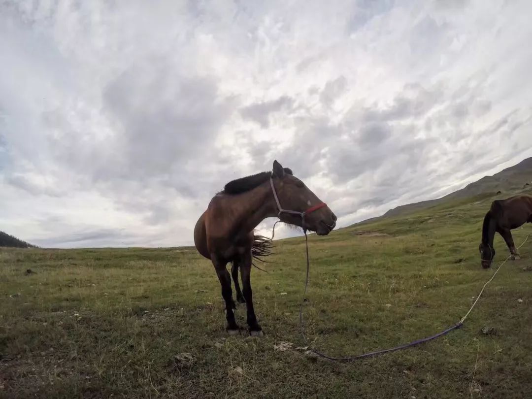 那个开着旅行咖啡车的女孩，暂别荒野重返都市