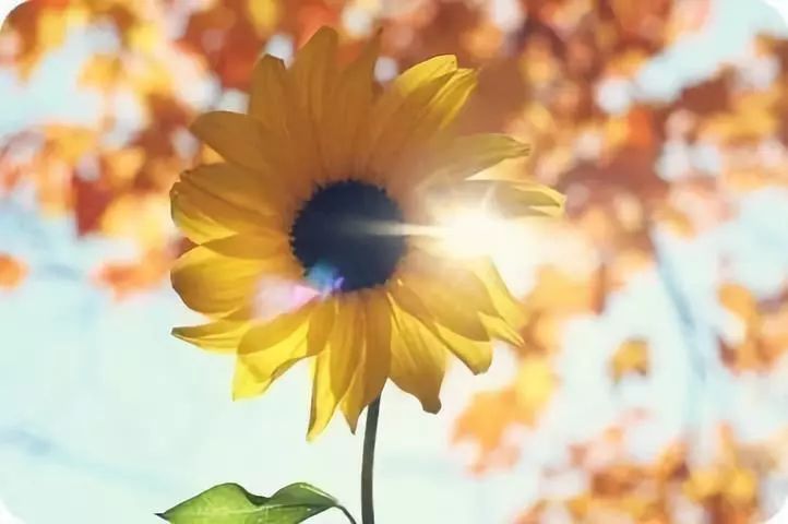 「方志四川论苑」蝉羽‖协力创造更好的“下一个”