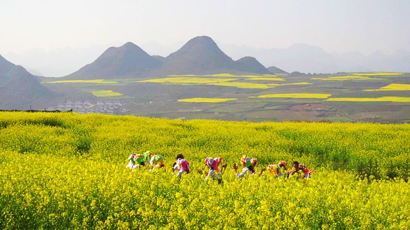 蒙自哪些景区值得去玩的,蒙自最美古镇在哪里