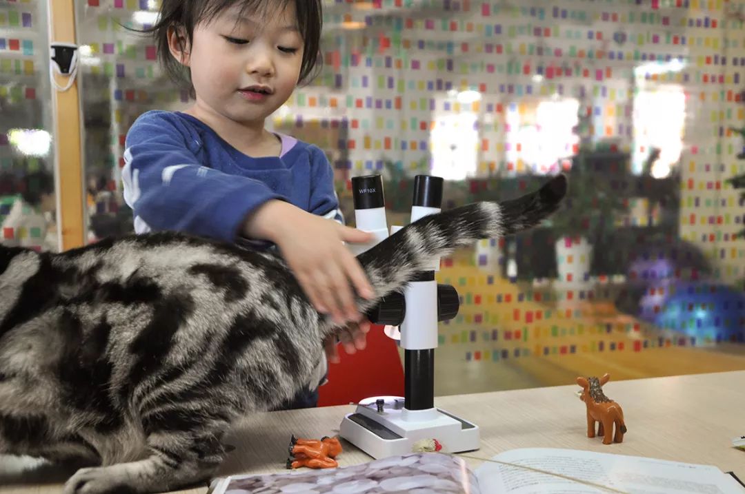 双12给宝宝囤的宝宝用品,双12什么东西适合宝宝囤