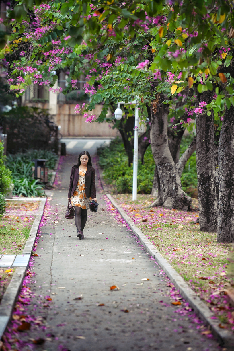 盘点那些美丽的校园时光,盘点那些美丽的校园
