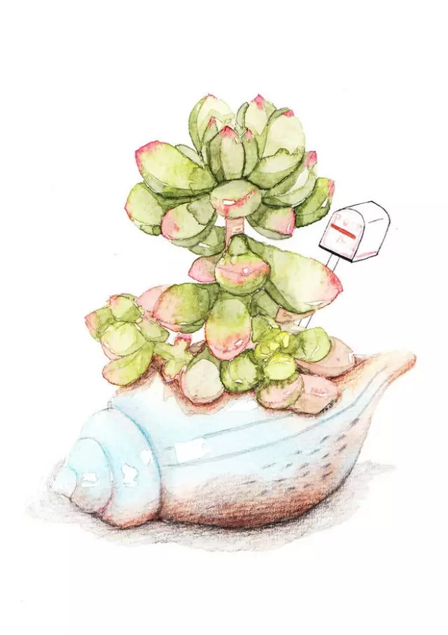 诗一样的多肉插画，像从宫崎骏的动漫世界里走出来一样~