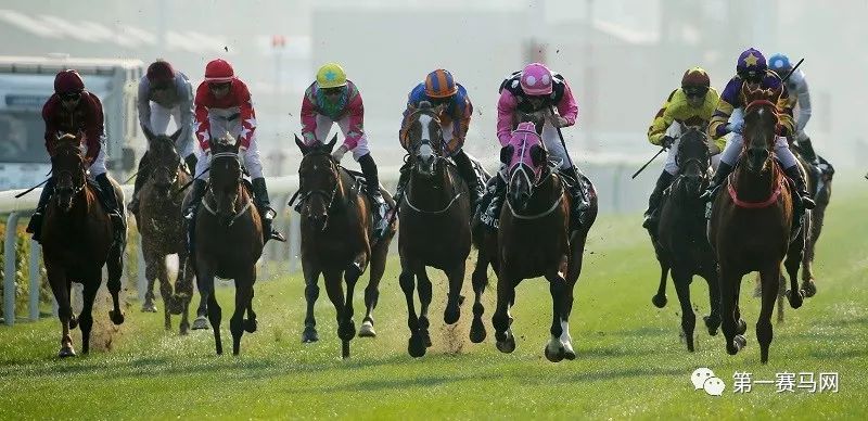 9300万巨奖怎么分？明日谁将有幸成为千万富豪？大幕将启马坛目光聚焦香港沙田（含排位表）