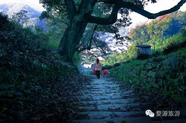 鍚勮矾鑻遍泟濂芥眽榻愯仛浜庢鐗囨,鍚勮矾鑻遍泟濂芥眽榻愯仛鍦ㄦ