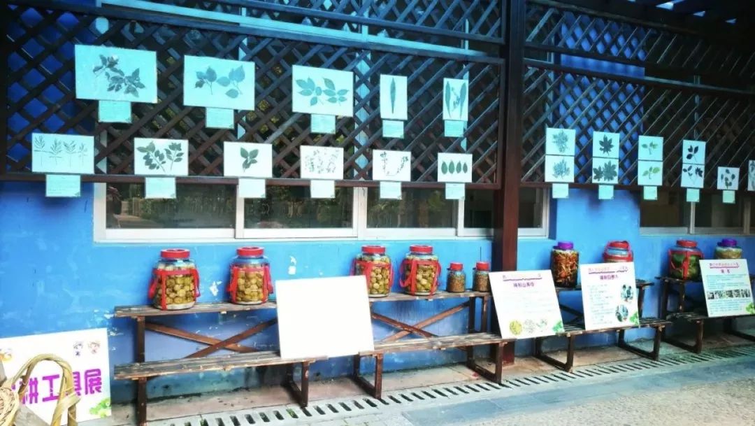 辉煌60年·壮美新广西｜青秀区各学校以实际行动庆祝改革开放40周年和自治区成立60周年