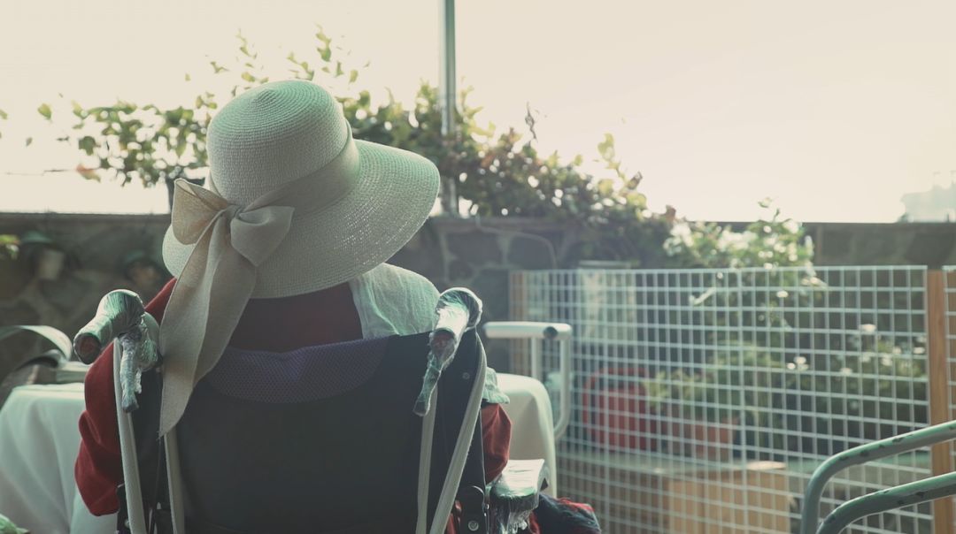 龙应台的小说目送全文,龙应台生平故事