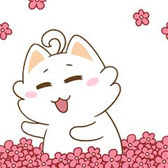 骄傲贵州,骄傲贵阳