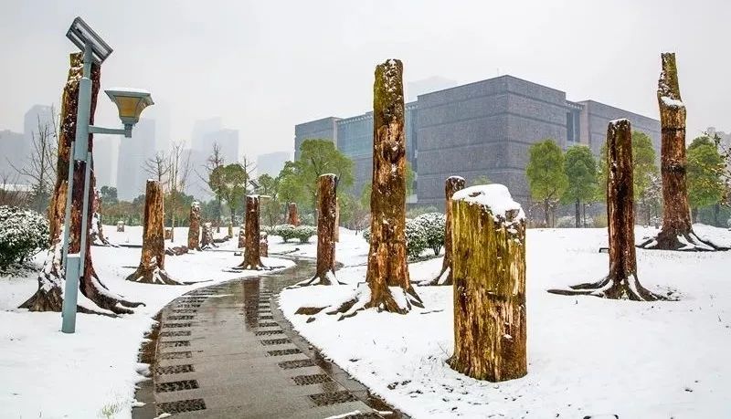 合肥最近需要注意什么,合肥人注意这些区域要停气