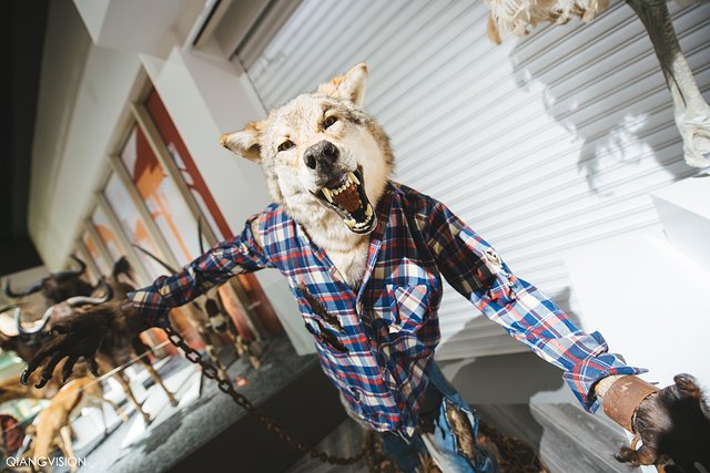 成都怎么玩一天一夜,如何在成都耍一天