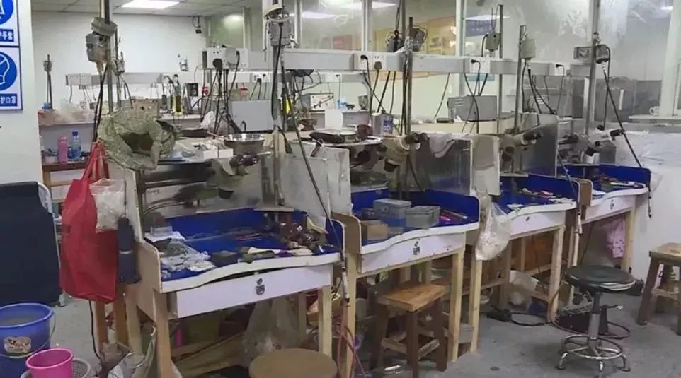 双十二剁手,双十二都剁手哪些东西