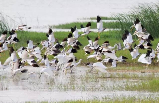 这里为什么叫“星沙”？典故来源于28星宿，原来还有这么浪漫的寓意！