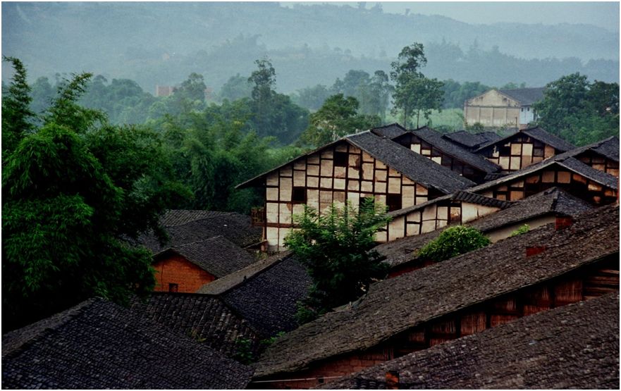石蟆橄榄节,2019年石蟆广场橄榄节