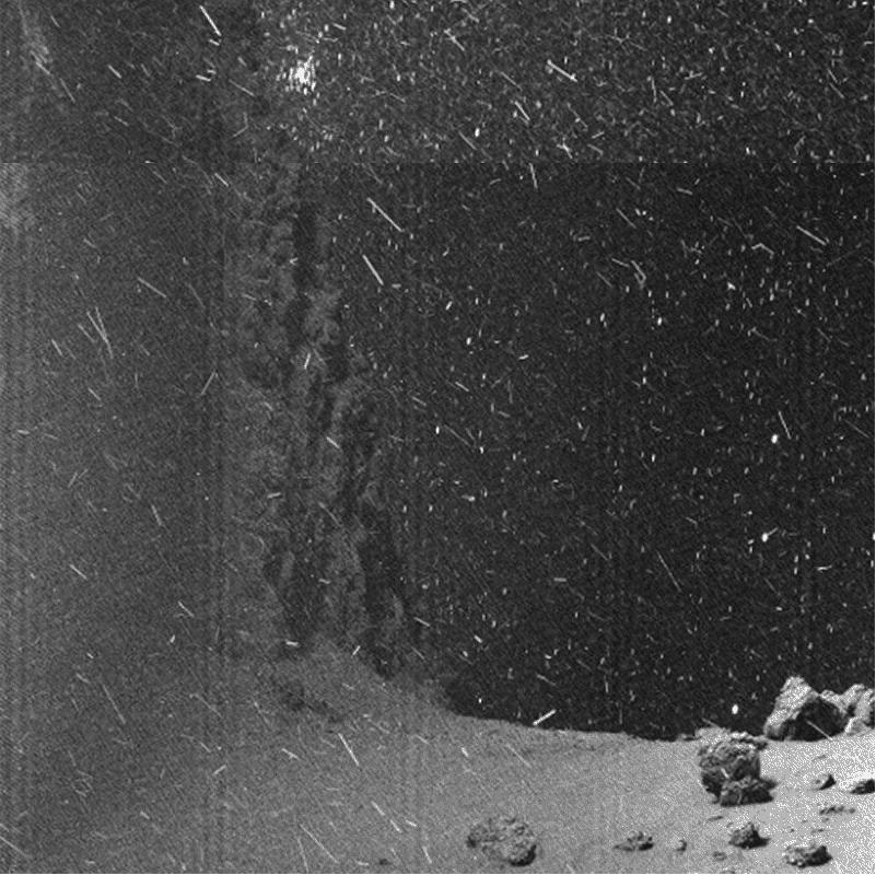 Nature：2018年度图片揭晓，中国克隆猕猴入选