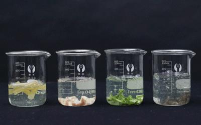 什么东西可以把下水道的头发化掉,可以溶解头发的下水道疏通剂