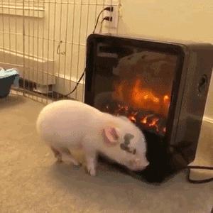 每日一笑你怎么知道的,每日一笑差距