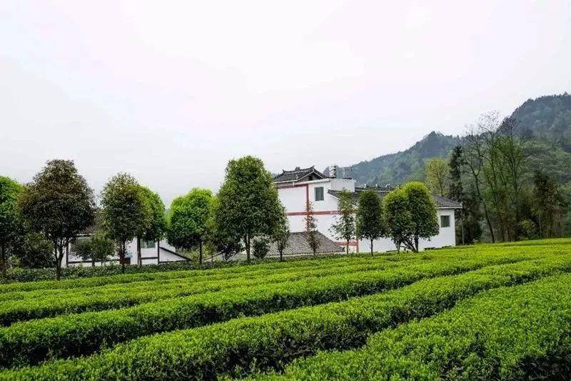 遵义市景区免费名单,遵义景区最新消息