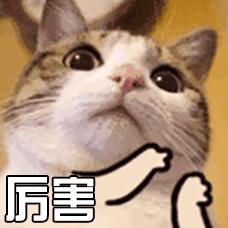 长春市妇幼保健院,长春市中医院介入科