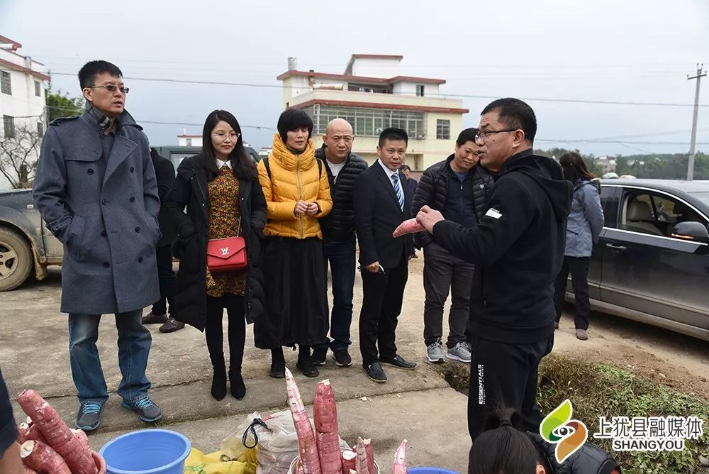 美康雅国际副总裁Kannis一行到我县开展投资考察暨扶贫体验活动