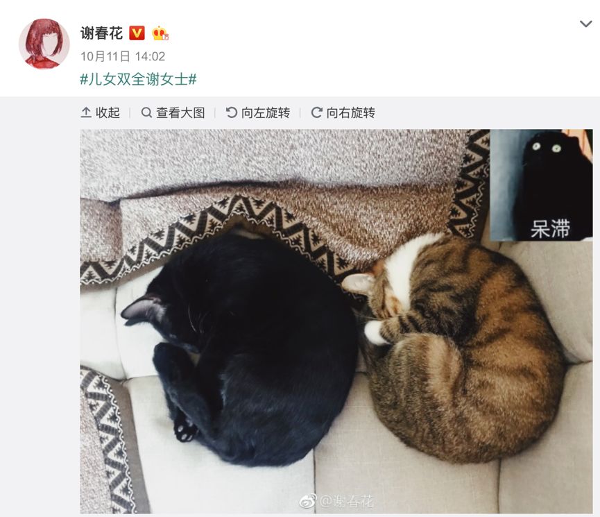 谢春花即兴创作环节,谢春花妄为含义