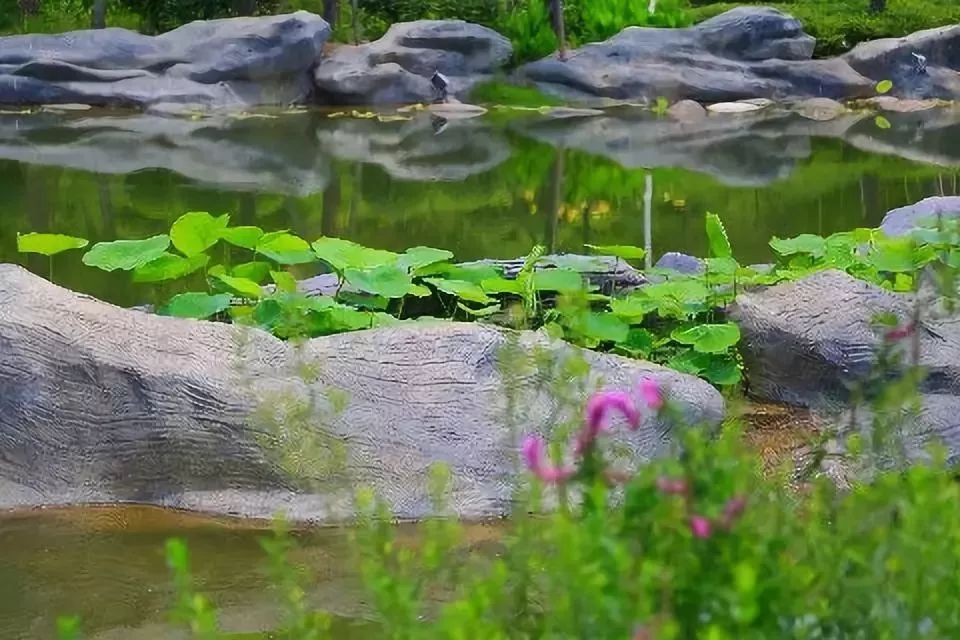 陕西宝鸡各县区有哪些景区,陕西省8个5a景区有哪些