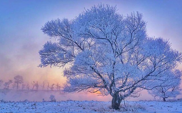 抖音十大热门旅行目的地,抖音十大热门旅行目的地公布