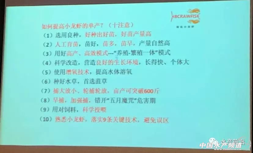 小龙虾高产高品质养殖关键技术,小龙虾最新养殖技术干货