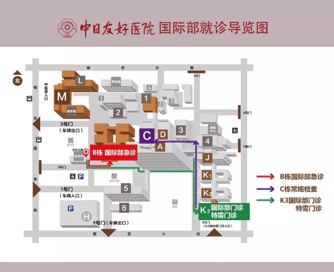 科普头晕头蒙视频,头晕科普系列