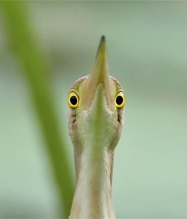 他做了15年自然测量员，只为得到更好的荒野