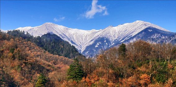 他做了15年自然测量员，只为得到更好的荒野