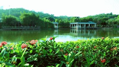 这就是新桥,这里是新桥小学