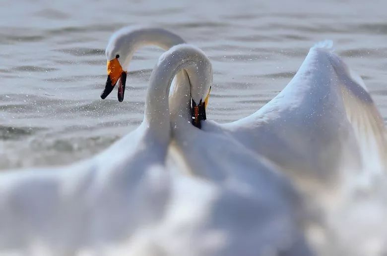最具幸福感的县级市中唯一一座上榜的北方小城，光是海鲜就能吃到你激灵！