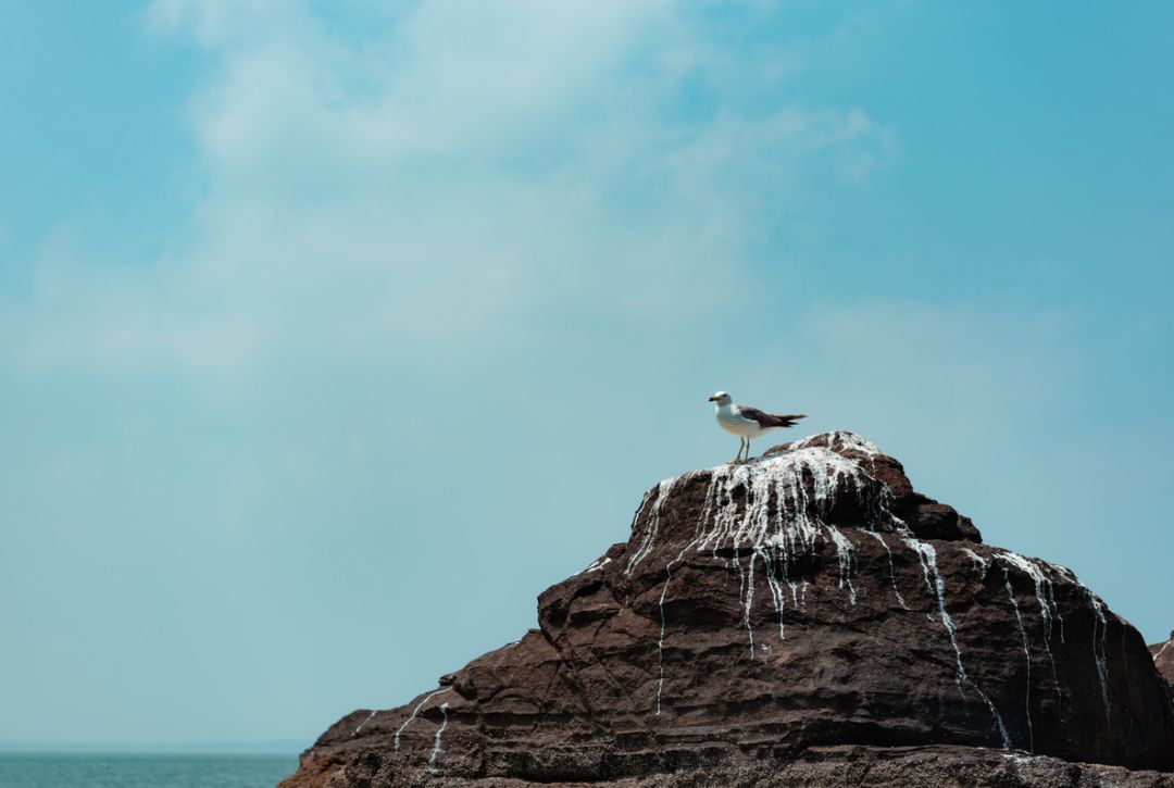 最具幸福感的县级市中唯一一座上榜的北方小城，光是海鲜就能吃到你激灵！