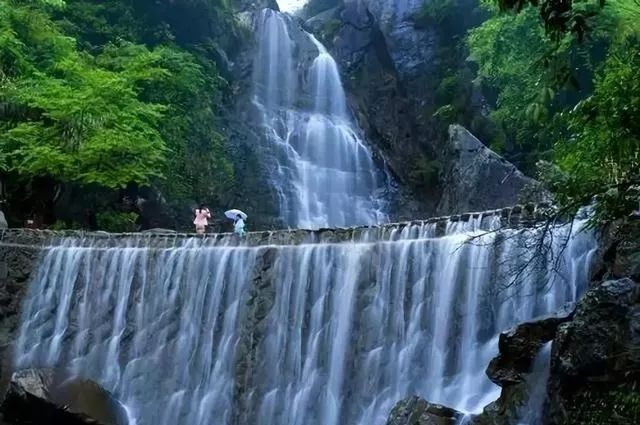 青田省级森林城镇,青田城市环境