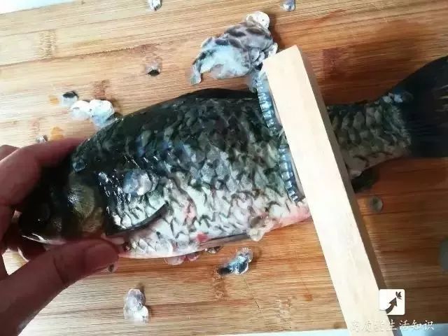 妙招｜去除鱼鳞太难？那你是不知道这几招！