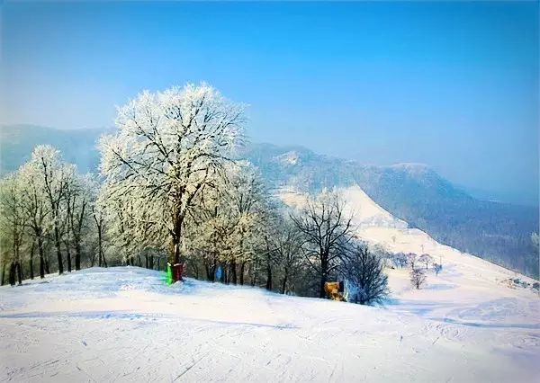 29.9元！雪圈+滑雪全天不限时4S级雪场高品质！