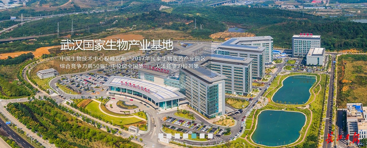 武汉光谷国家生物产业基地,光谷生物城构建中部生物产业集群