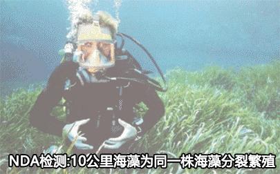 50岁没有眼袋眼纹黑眼圈,60岁去眼袋的最佳方法