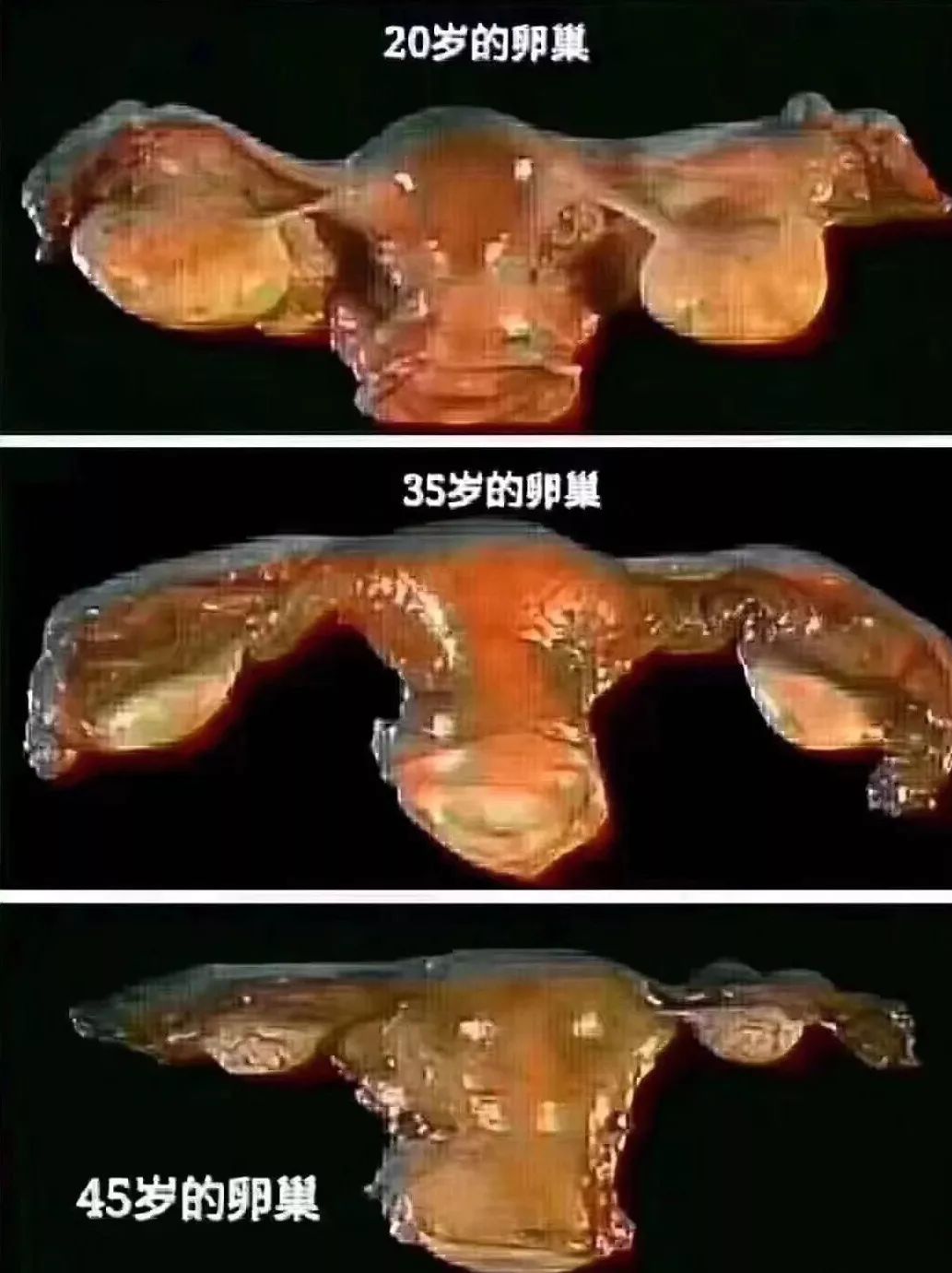 异地恋、姐弟恋陆续见光死,女人如何掌舵成为幸福操盘手?