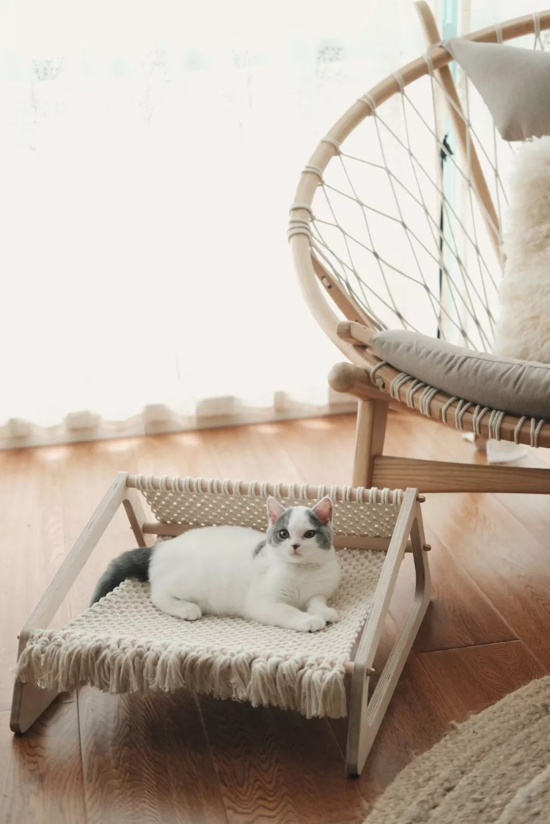 请接受一份2018年的礼物,2018年的新年礼物