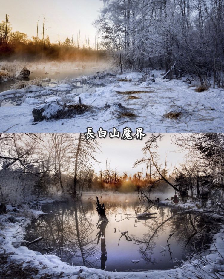 2018的我浪不动了，2019还是可以期待一下的