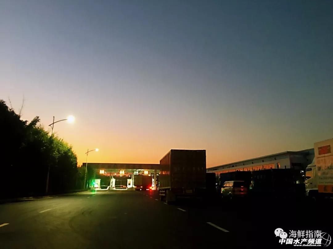 进口的三文鱼是新鲜的还是冷冻的,正宗挪威三文鱼购买渠道