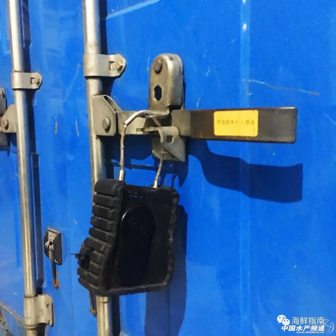 进口的三文鱼是新鲜的还是冷冻的,正宗挪威三文鱼购买渠道