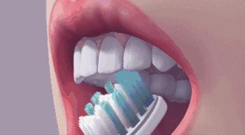 牙膏该怎么选正宗的好牙膏,有的人存在误区觉得牙膏越贵越好