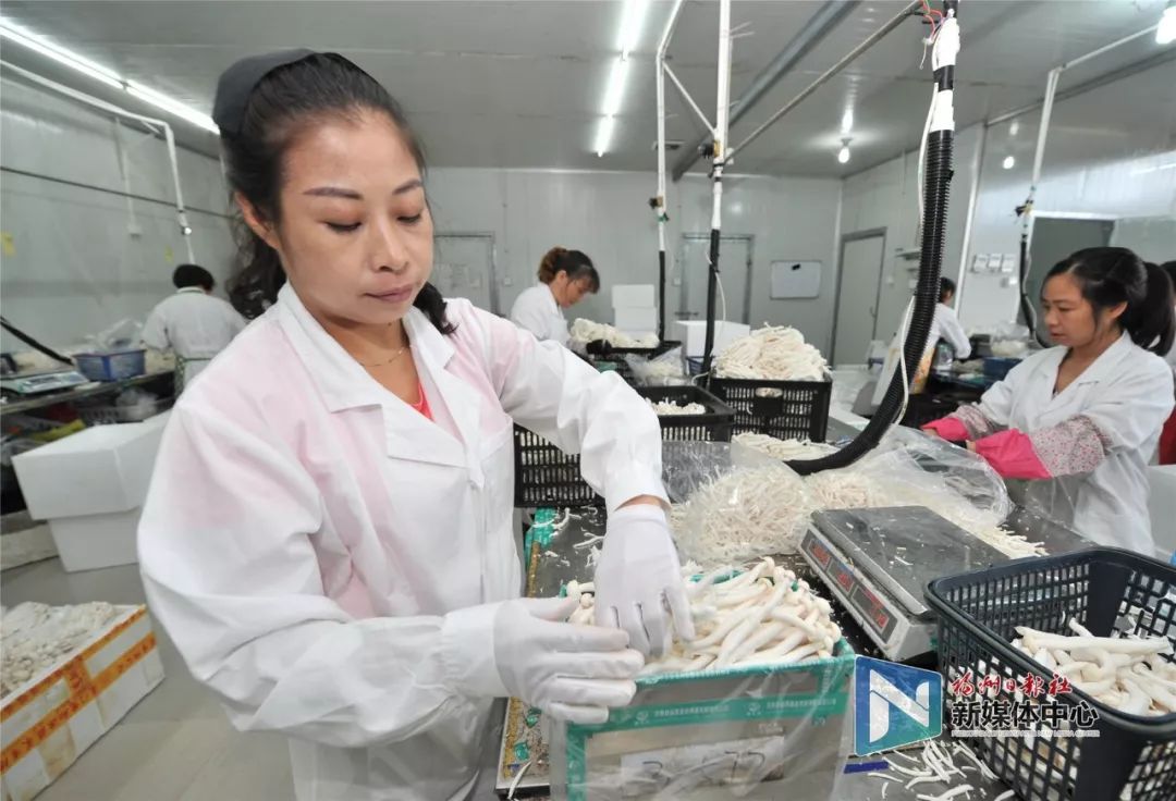 这里是宁德,这里是福建