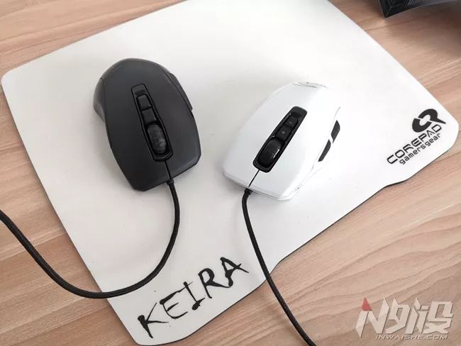 白冰豹子,黑冰和白冰视频