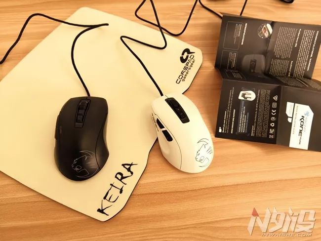 白冰豹子,黑冰和白冰视频