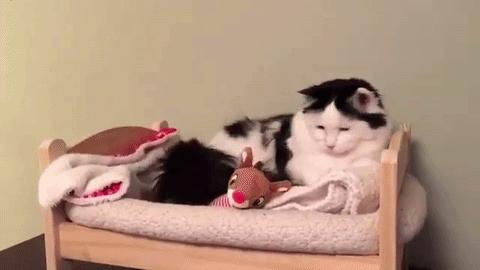 旧枕头扔掉有讲究,旧枕头不要了怎么扔有说法吗